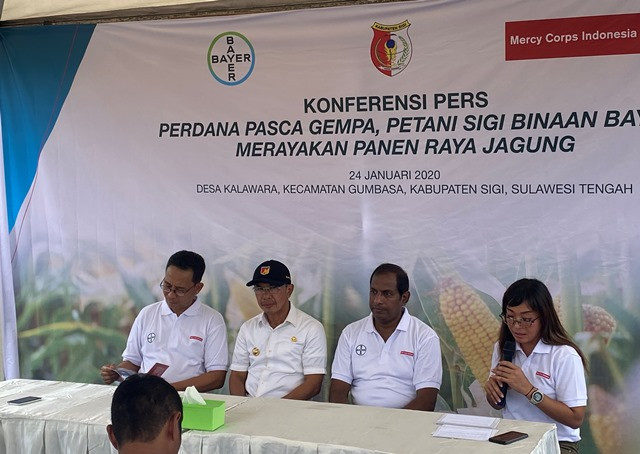 Para Petani Sigi, Sulawesi Tengah Beralih Jadi Menanam Jagung