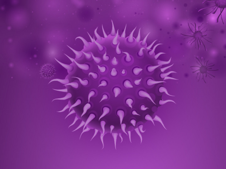 Mengenal Virus Korona dan Tip Menanganinya