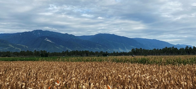 Destinasi Wisata di Palu yang Bisa Anda Kunjungi