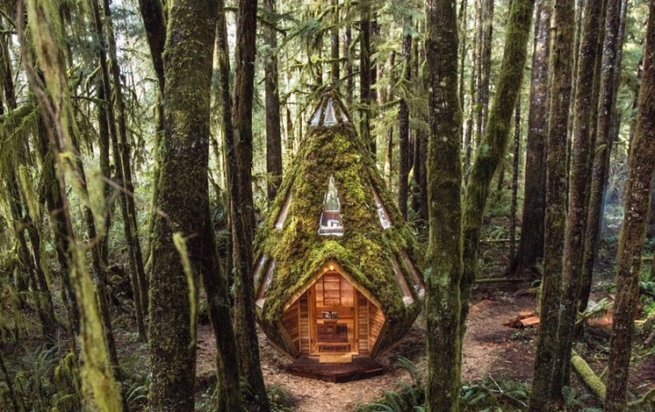 Cabinland, Hunian Berbentuk Berlian di Tengah Hutan