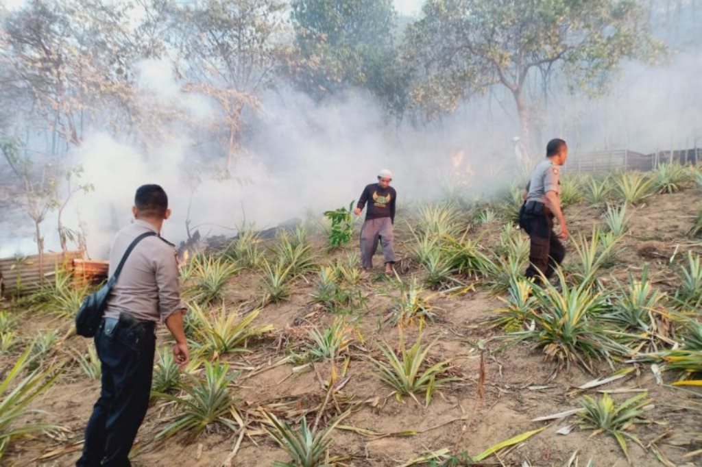 Kebakaran hutan dan lahan yang terjadi di kawasan Air Besar, Kecamatan Sirimau, Kota Ambon. (Foto: ANTARA/Daniel Leonard)