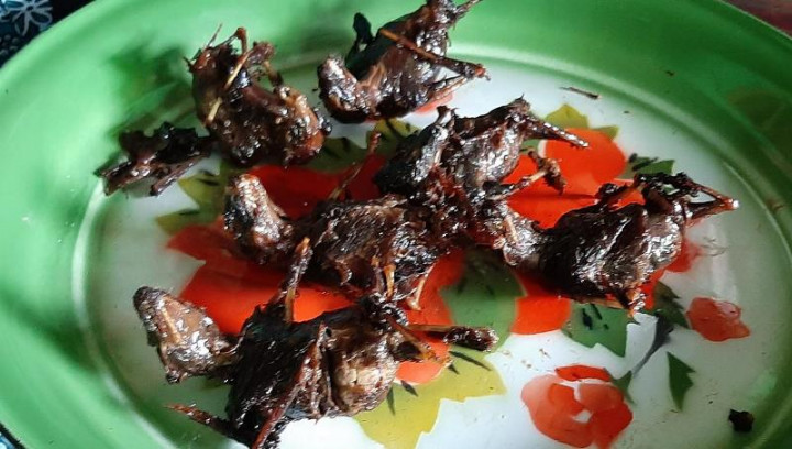 Disebut Sumber Virus Korona, Daging Kelelawar Jadi Buruan