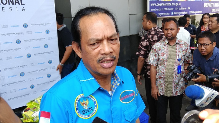 BNN Pertanyakan Motif Wacana Legalisasi Ganja