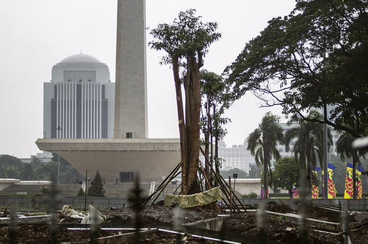Lokasi Revitalisasi Monas Ditanami Pohon Lagi