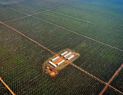 Sertifikasi Dongkrak Rantai Pasok Ekspor Komoditas Indonesia