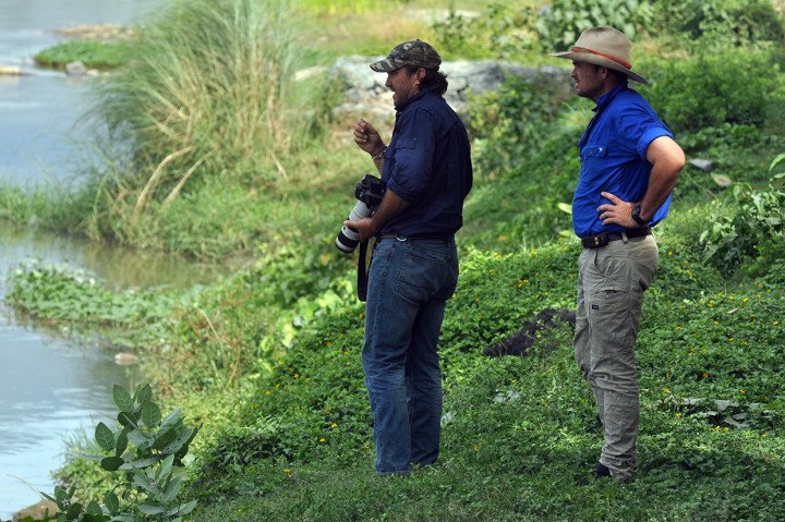 Ahli Asal Australia Bantu Penyelamatan Buaya Berkalung Ban