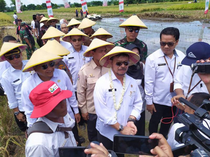 Mentan Pastikan Stok Pupuk Subsidi Cukup