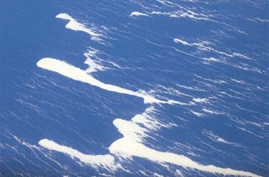 Empat Orang Selamat usai Terapung 32 Hari di Pasifik