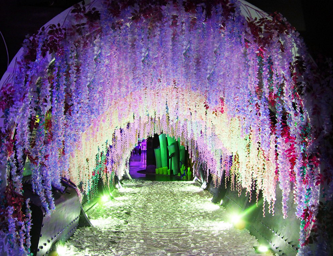 Wisteria Tunnel, salah satu spot terbaik yang ada di Jakarta Aquarium pada 7 Februari hingga 1 Maret (Foto: Jakarta Aquarium)