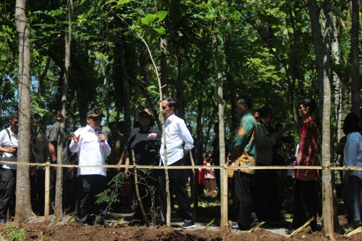 Presiden Tanam Pohon di Daerah Tangkapan Air Waduk Wonogiri