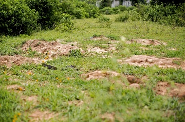 6.000 Mayat Ditemukan di Kuburan Massal Burundi