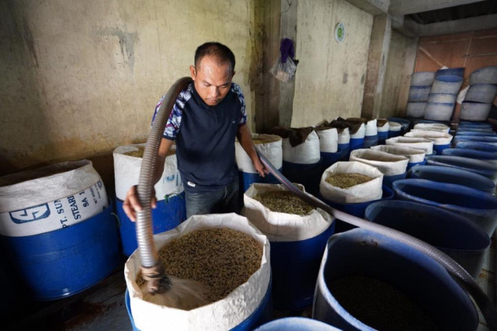 Sukses Bertani Toge di Rumah, Mas Toge Terbantu KUR BNI