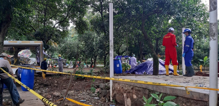 Pepohonan di Lahan Terkontaminasi Cesium 137 akan Ditebang