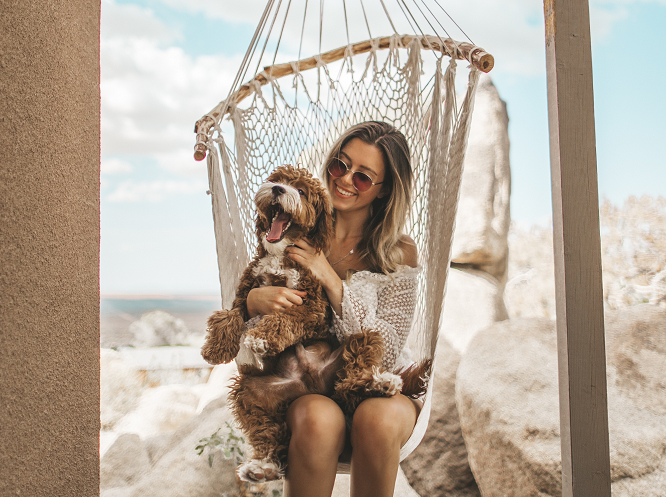 Kiat Membersihkan Bulu Hewan Peliharaan yang Menempel pada Pakaian