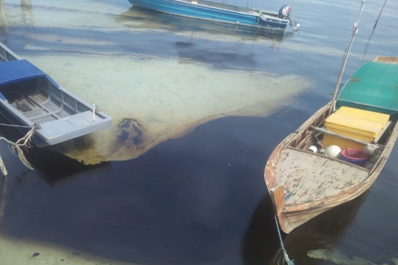  Limbah Minyak  Hitam Cemari Perairan Bintan Medcom id
