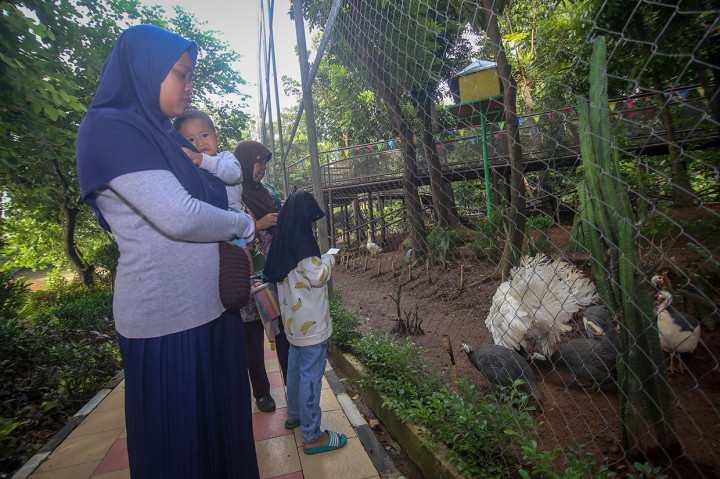 Wisata Hutan Kota Daan Mogot Diresmikan