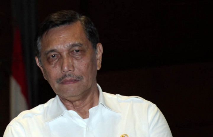 Luhut: Virus Korona Buat Investasi dari Tiongkok Tertunda