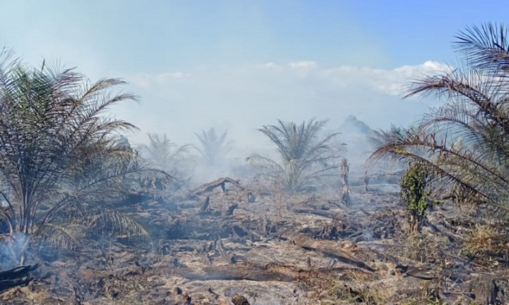 Lahan Seluas 6 Hektare di Bener Meriah Aceh Terbakar