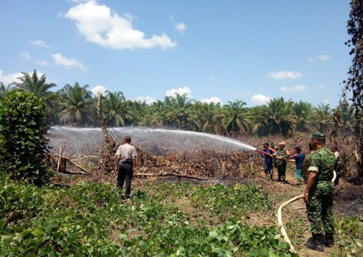 Dua Hektare Lahan di Aceh Singkil Terbakar