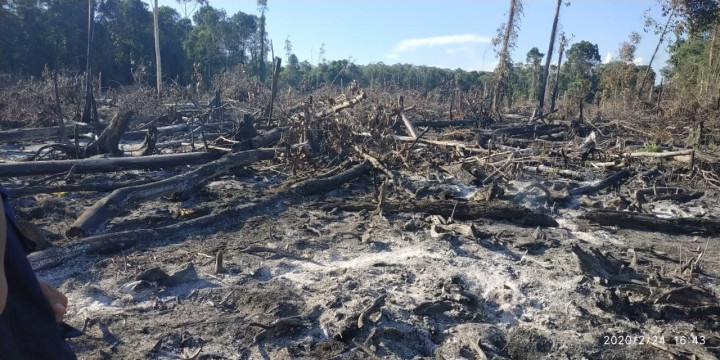 8 Hektare Lahan di Aceh Terbakar