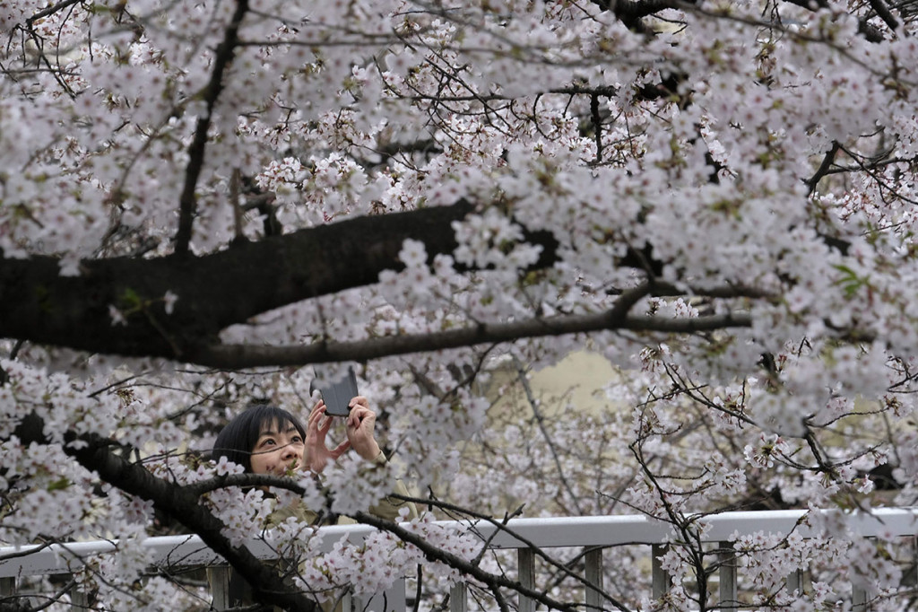 Jepang viral top wikwik. Jepang Viral.