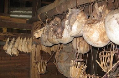 Tengkorak Suku Dayak akan Dikembalikan dari AS