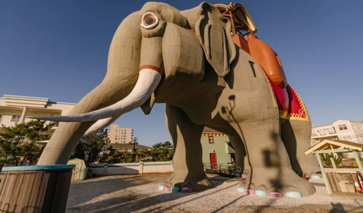 Sensasi Menginap di 'Perut Gajah'