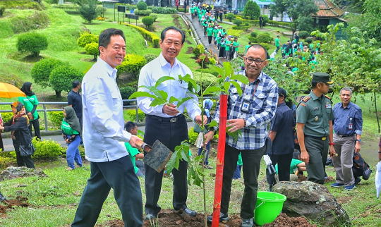 Sejauh ini sudah ada 10 ribu lebih tanaman yang ditancapkan Djarum Foundation yang menyasar lokasi candi. (Foto: Dok. A. Firdaus)
