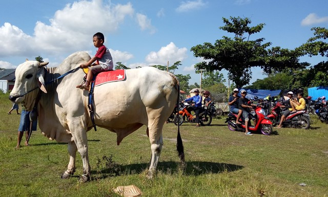 Melihat Pertemuan 'Bajingan' di Minggu Wage