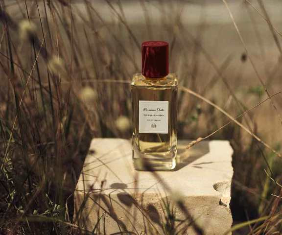 Pilihan Koleksi Parfum Terbaru untuk Pria dan Wanita