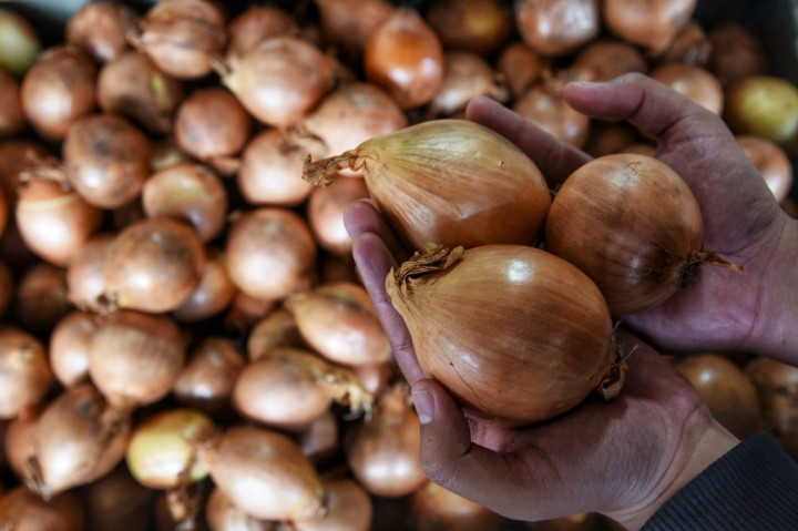 Mendag Buka Keran Impor 2.000 Ton Bawang Bombai