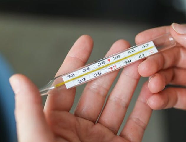 Panduan Mengobati Demam Anak