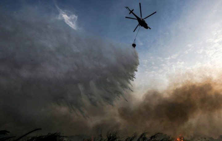 Polda Riau Tangani 48 Tersangka Karhutla