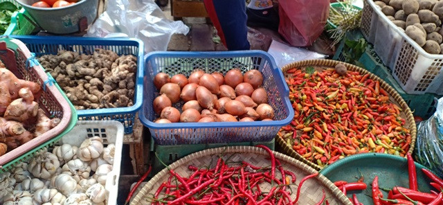 Harga Bawang Bombai Melambung Lima Kali Lipat