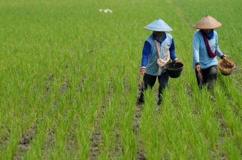 Upah Buruh Tani dan Bangunan Naik di Februari 2020