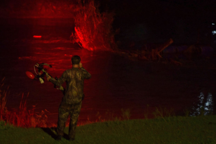 Covid-19 Hentikan Penyelamatan Buaya Berkalung Ban