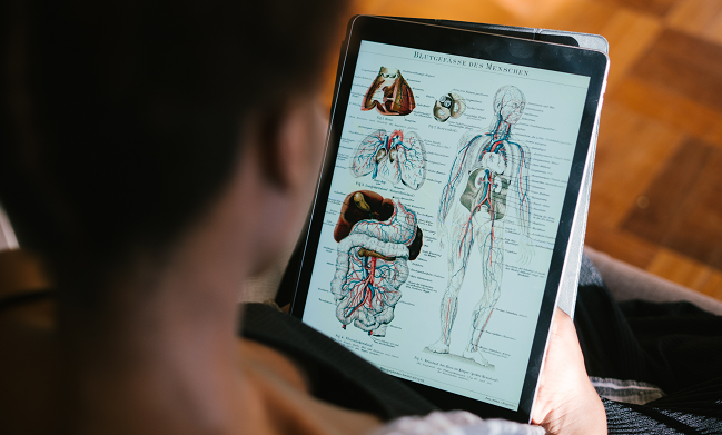 10 Aplikasi Belajar Online Pilihan Kemendikbud