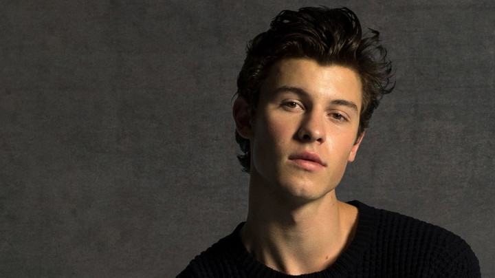 Shawn Mendes Sumbang Rp2,8 M untuk Rumah Sakit Anak Atasi Korona