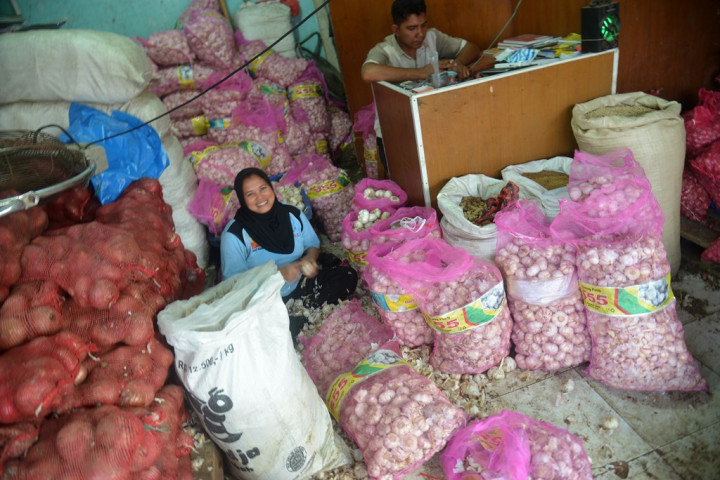 Relaksasi Izin Impor Bawang Putih Jangan Sampai Langgar Aturan