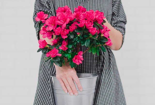 Ragam Aktivitas Saat Karantina di Rumah