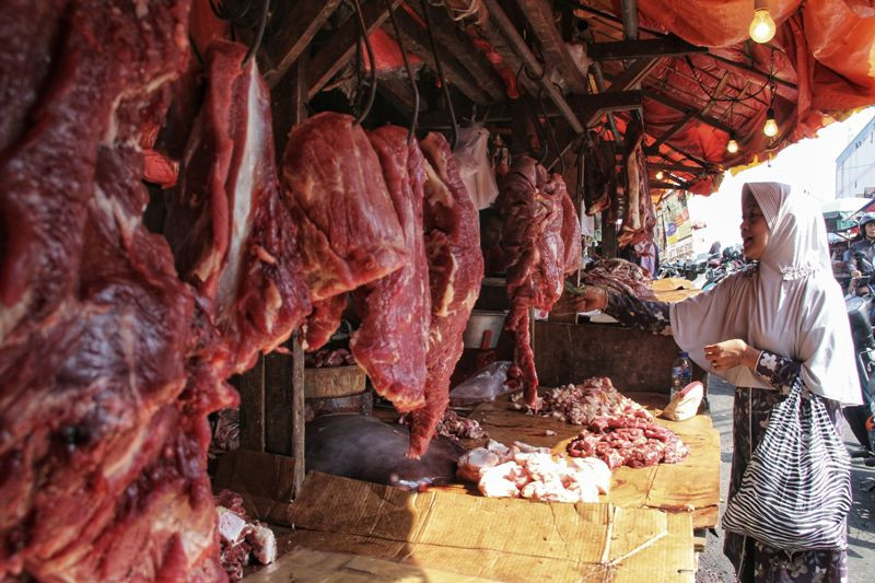Ilustrasi daging. Foto : MI.
