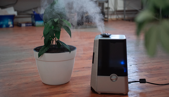 Air purifier dapat membantu pasien asma dan bronchitis kronis di lingkungan dengan polusi gas buang cukup tinggi. (Foto: Ilustrasi. Dok. Pexels.com)