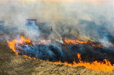 Kebakaran Hutan Semakin Dekati PLTN Chernobyl