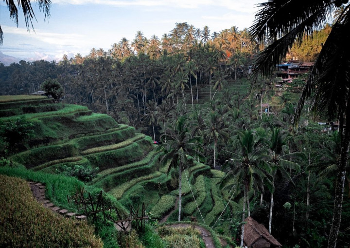Traveling saat Pandemi Covid-19, Keluarga asal Inggris 'Terisolasi' di Antara Pesona Bali