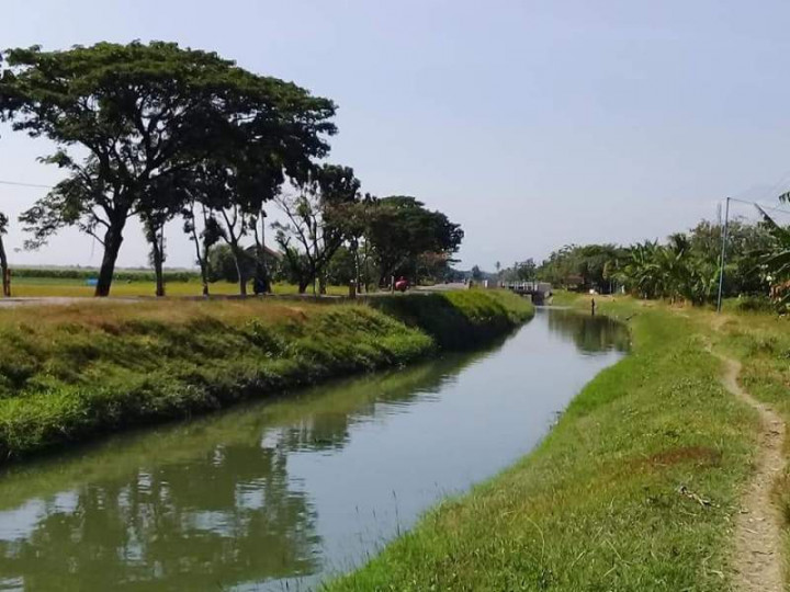 Kementerian PUPR Minta Tambahan 4.000 Lokasi Padat Karya Tunai