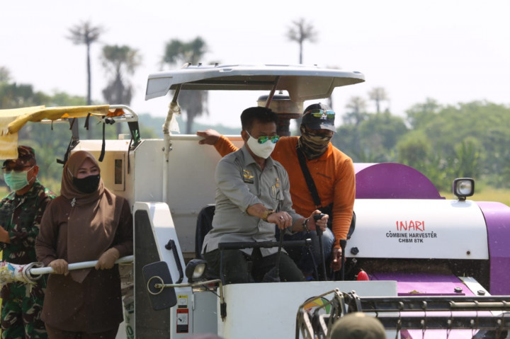 Mentan Panen Padi Inbrida di Kabupaten Pandeglang