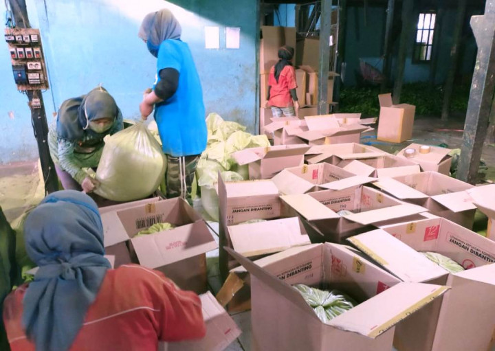 Matcha Tea Produksi Bandung Tembus Pasar Ekspor Korea Selatan