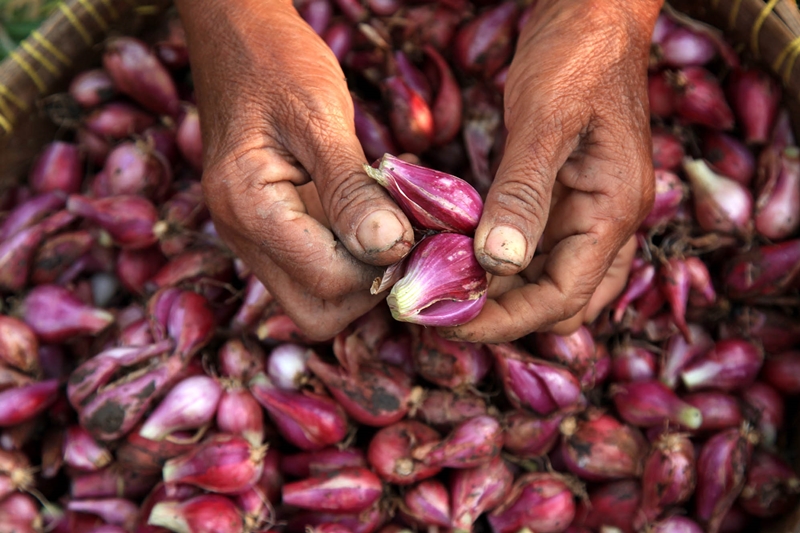 Harga Bawang Merah di Pasar Tradisional Cirebon Naik - Medcom.id