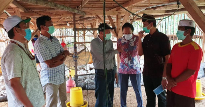 Kementan Sebut Perusahaan Mitra Membeli Ayam Ras Peternak Mandiri