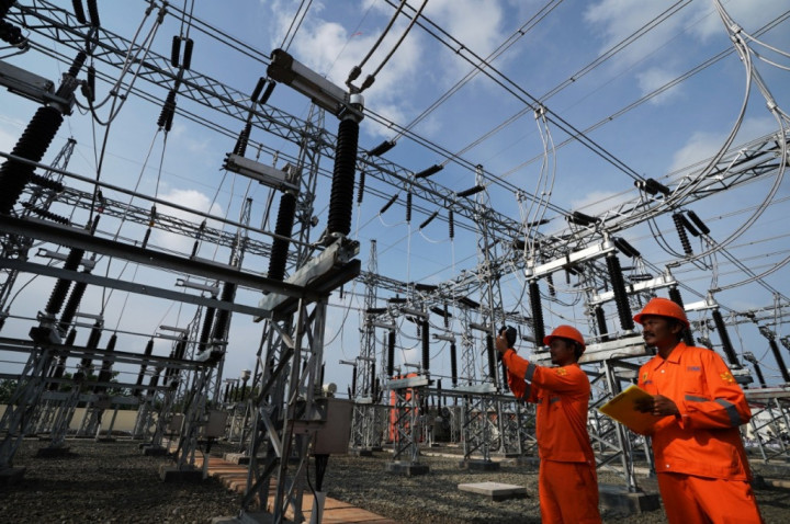 Jellyfish Swarm Waters near East Java's Paiton Power Plant